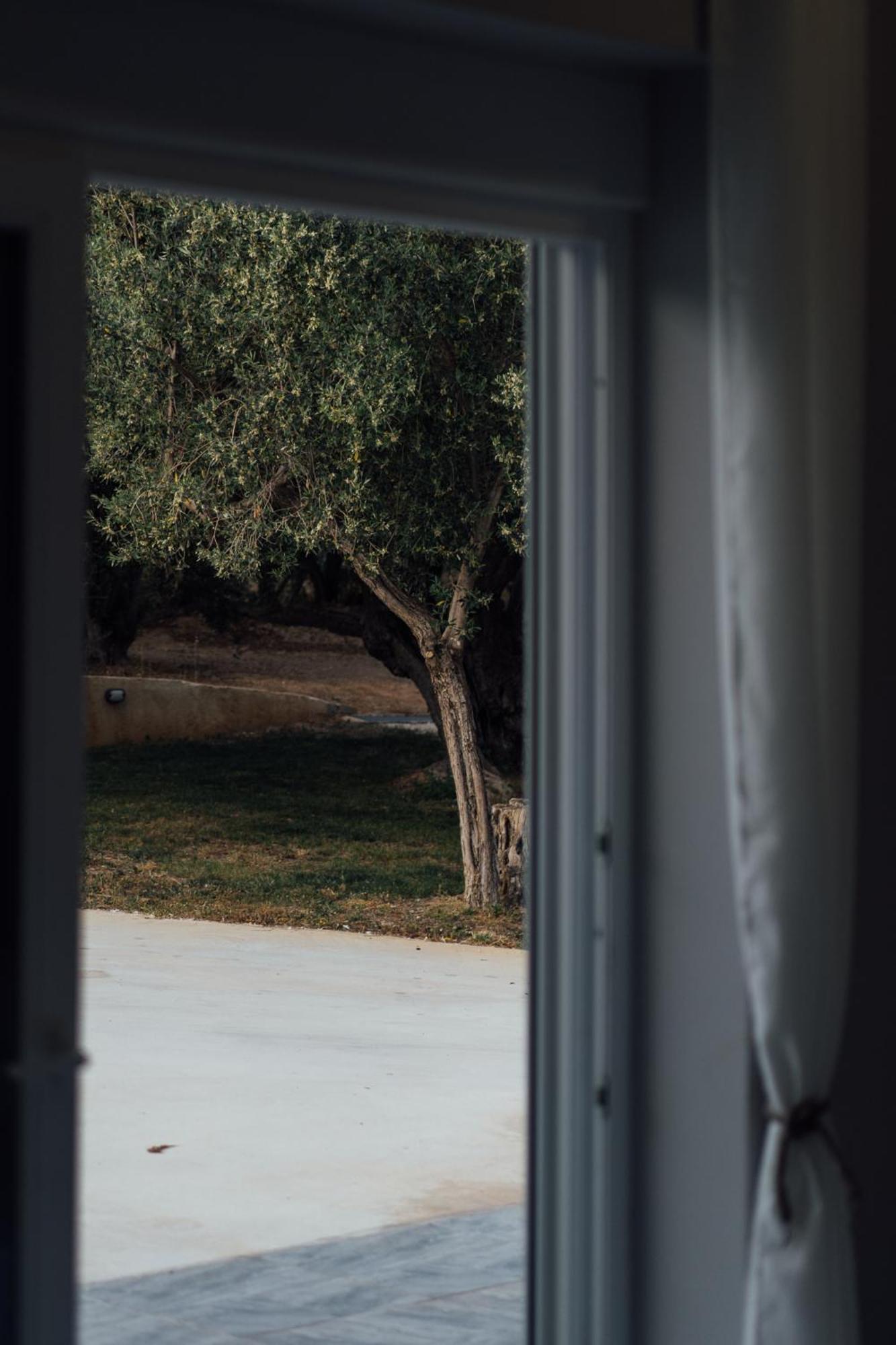 Blue Waves Luxury Suites By The Sea Plomari Bagian luar foto